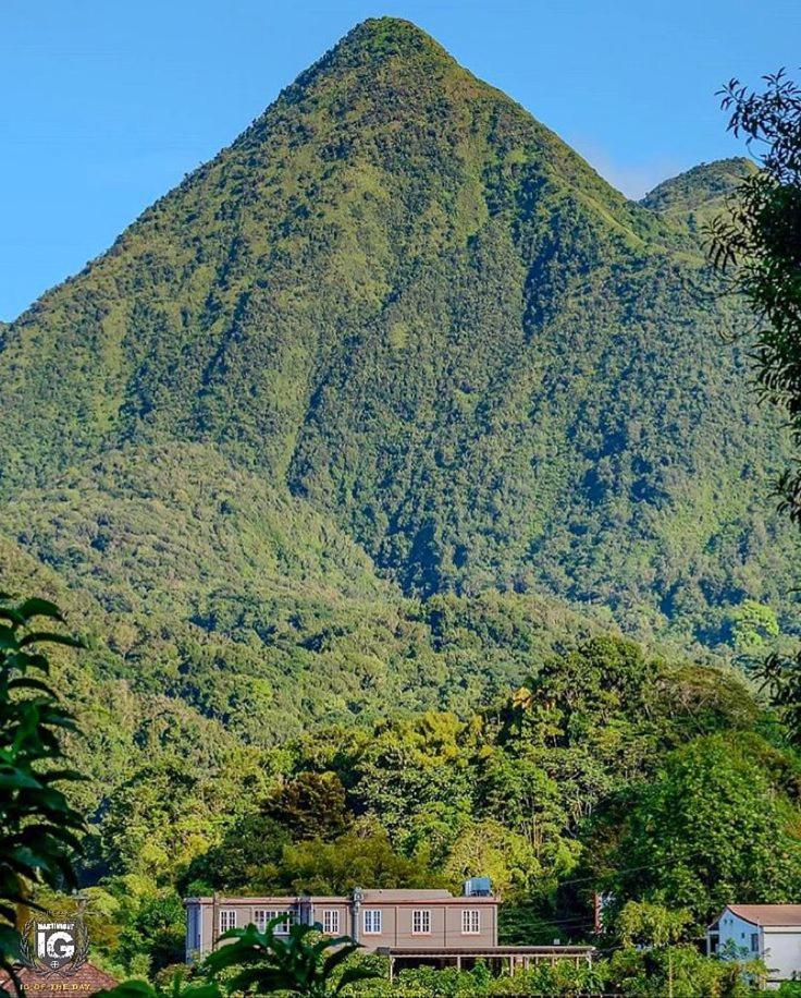 Apartmán Colibri Fort-de-France Exteriér fotografie